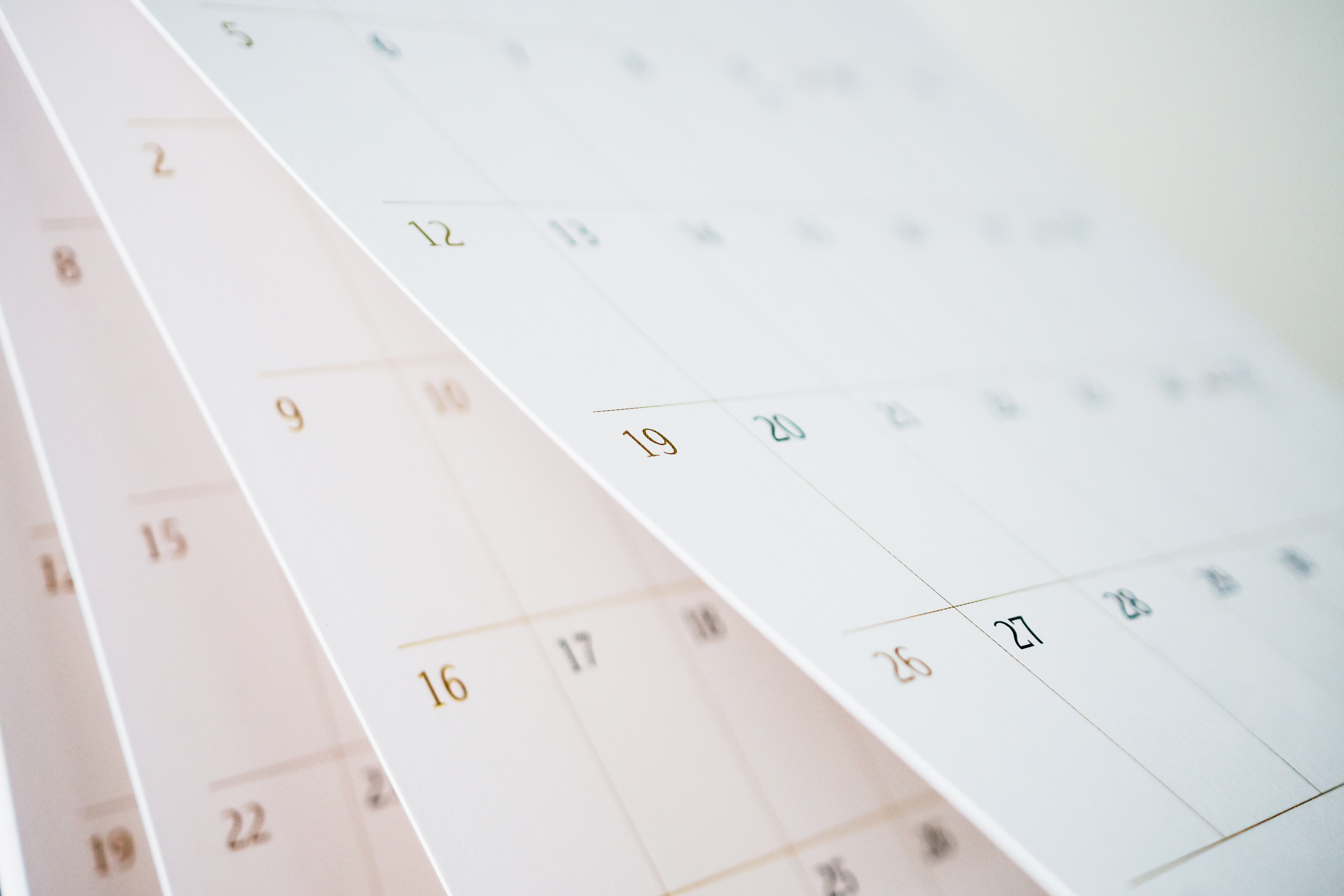 Calendar pages